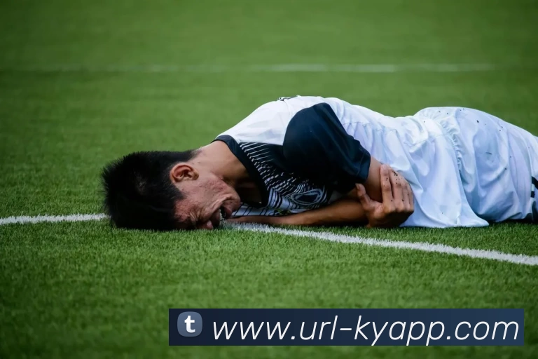 开云体育APP 体育赛事宣传图