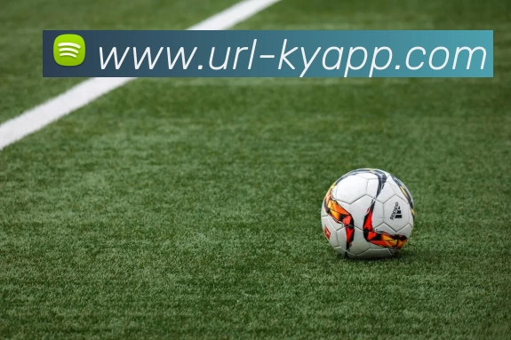 开云体育APP 封面图